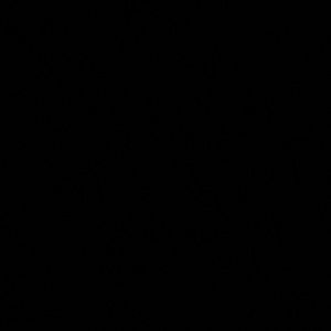 Meet your Posher, Aysha